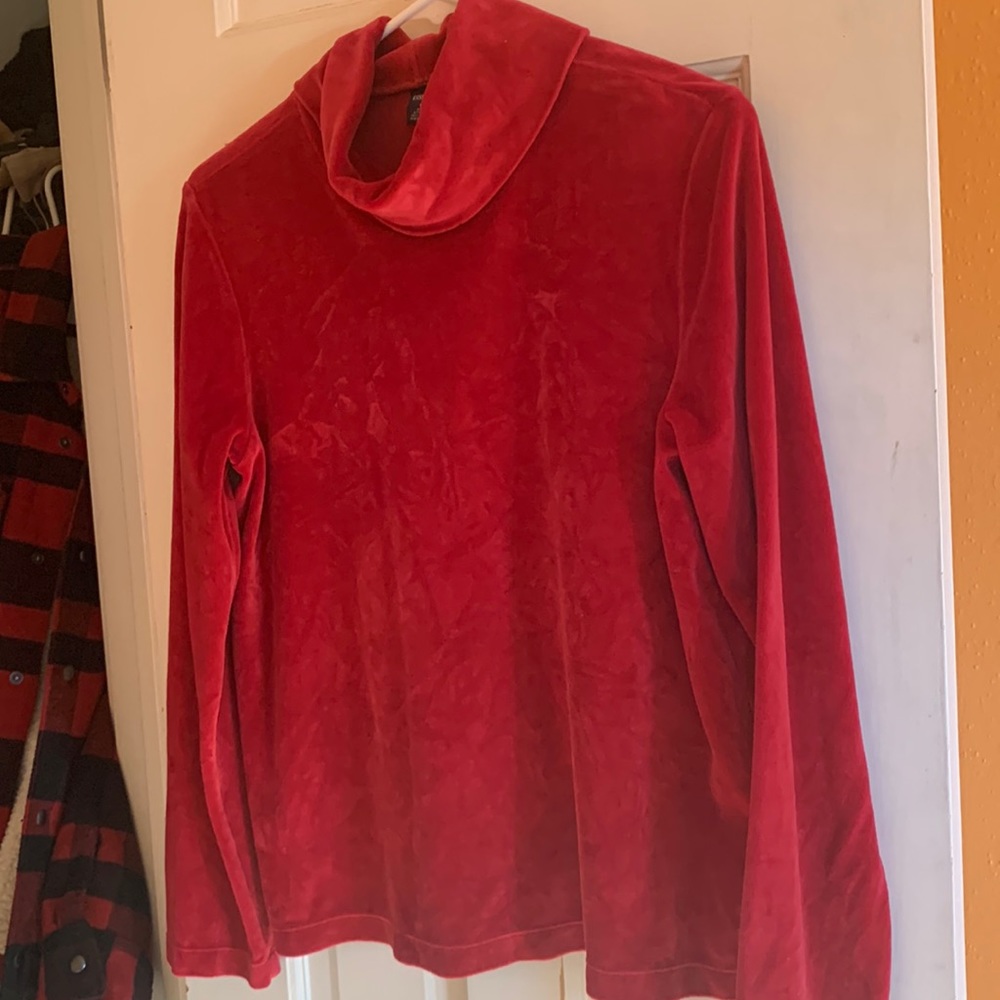 Holiday turtle neck from Lands End. Size M